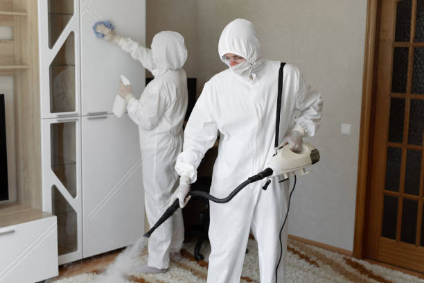 Trusted Davenport, IA Mold Removal Experts